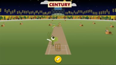 Google Doodle Cricket